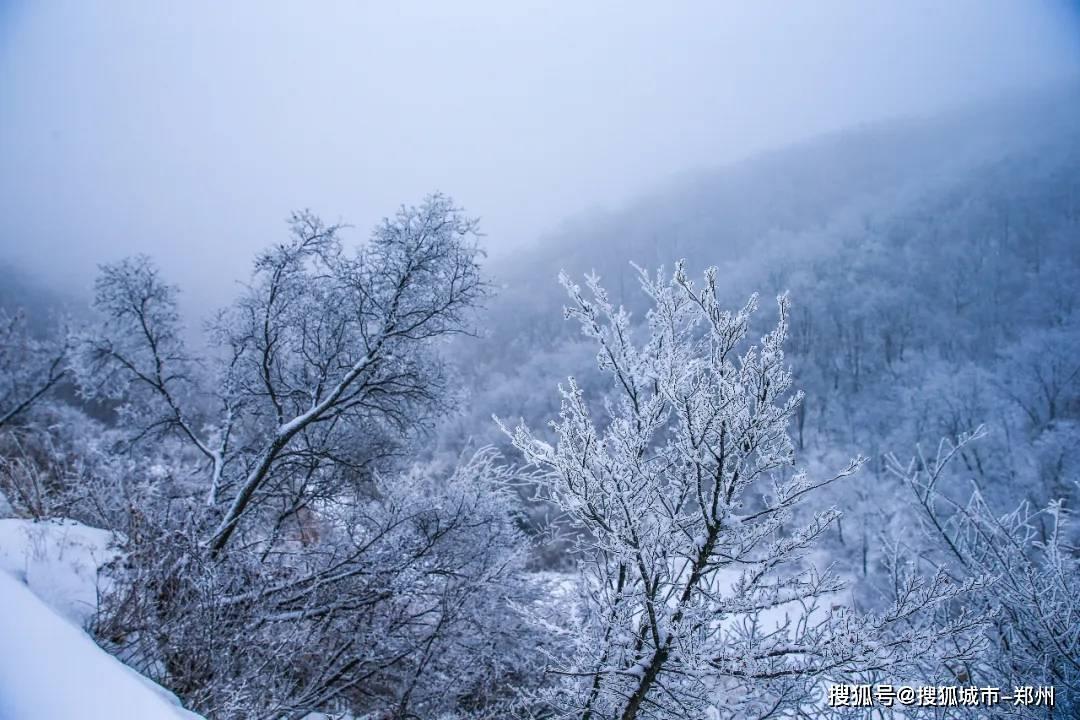空闲农场