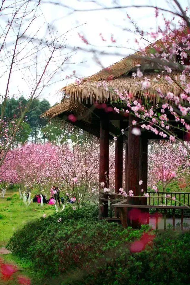 探索天涯,发现真相——