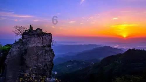 海獭睡觉是什么样子的呢？