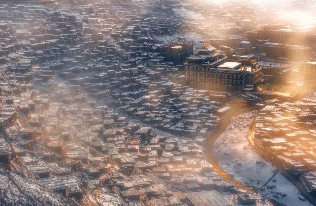 动物帮帮忙保卫家园