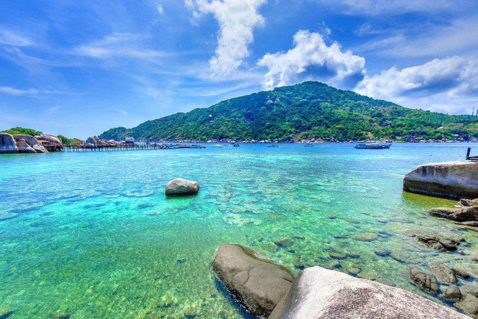 广州海珠湿地两项工程获国家级园林工程金奖