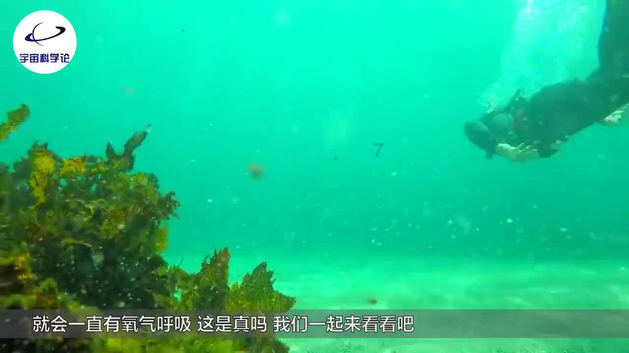 山东:全力支持和鼓励干部敢为、地方敢闯、企业敢干、群众敢首创