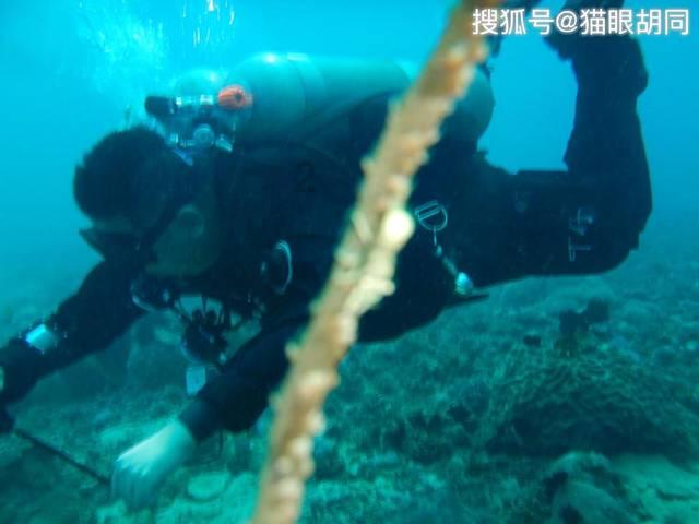 夜幕下的西青街