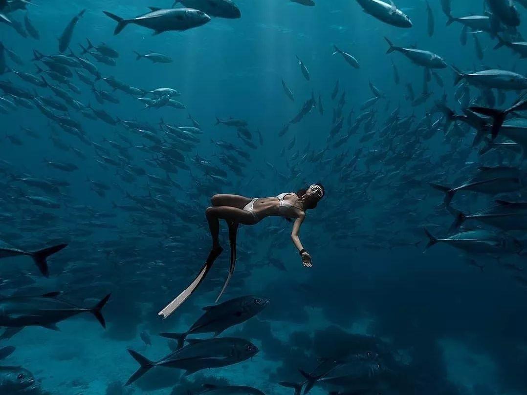 3D双翼飞行