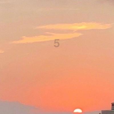 我家猫咪喉咙卡到鱼刺了怎么办?-机智问答,智慧解答你的疑惑