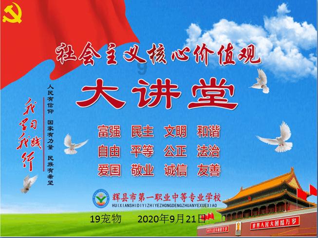 小猫钓鱼游戏龙王版有船