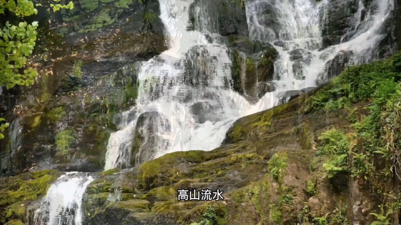 大学师生恋,合适吗?-58问答交流平台