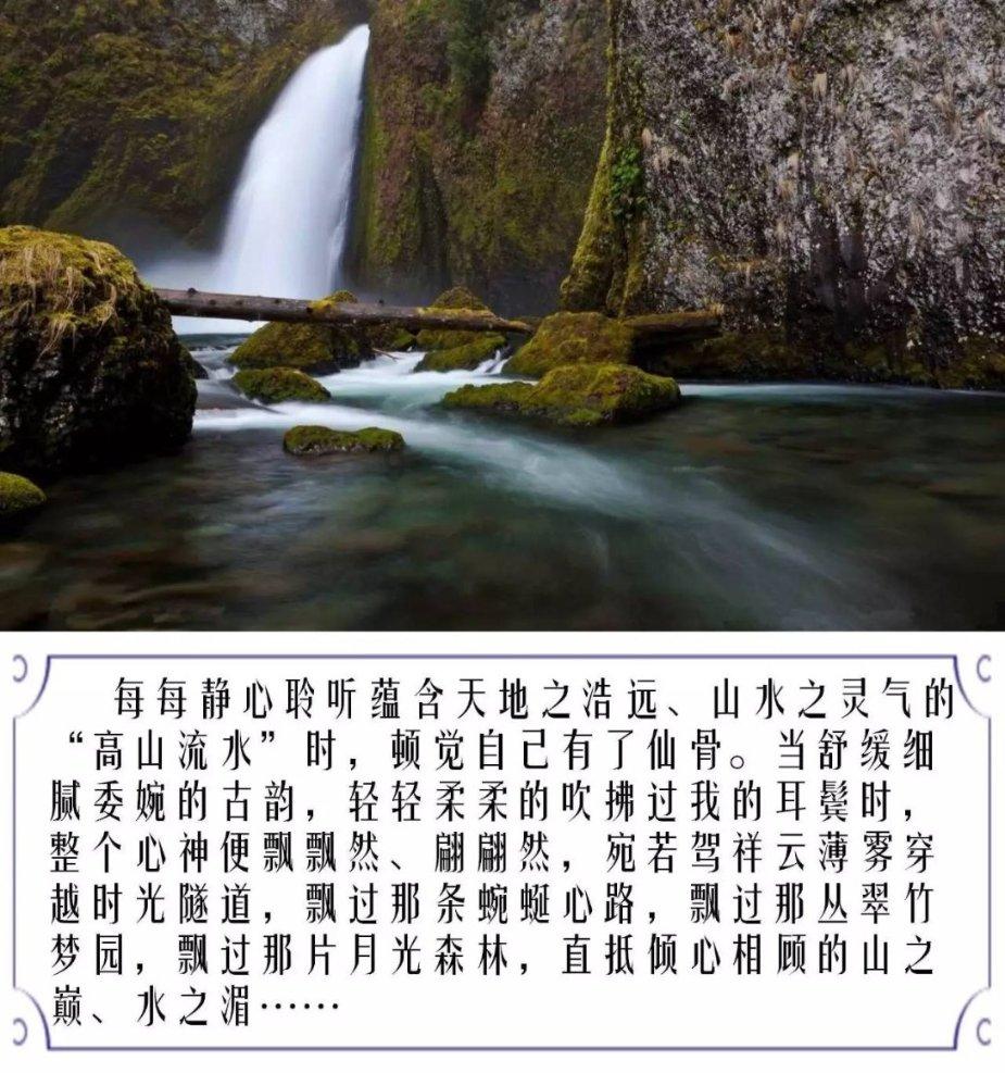 小猫钓鱼正版下载中文版