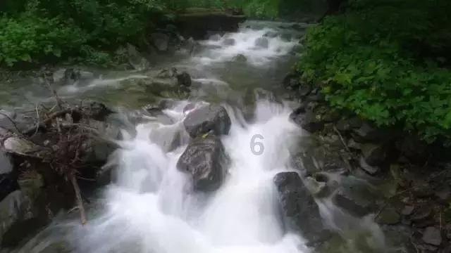 全民烧脑3去广告版