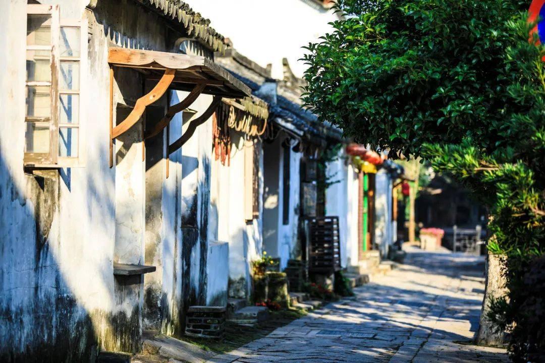 小猫钓鱼开船版最新版下载