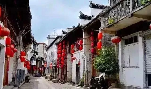 逃离变色龙森林