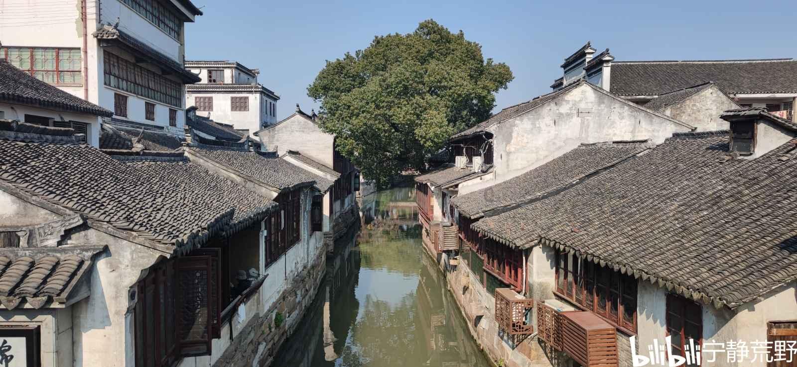 小猫钓鱼游戏龙王版有船