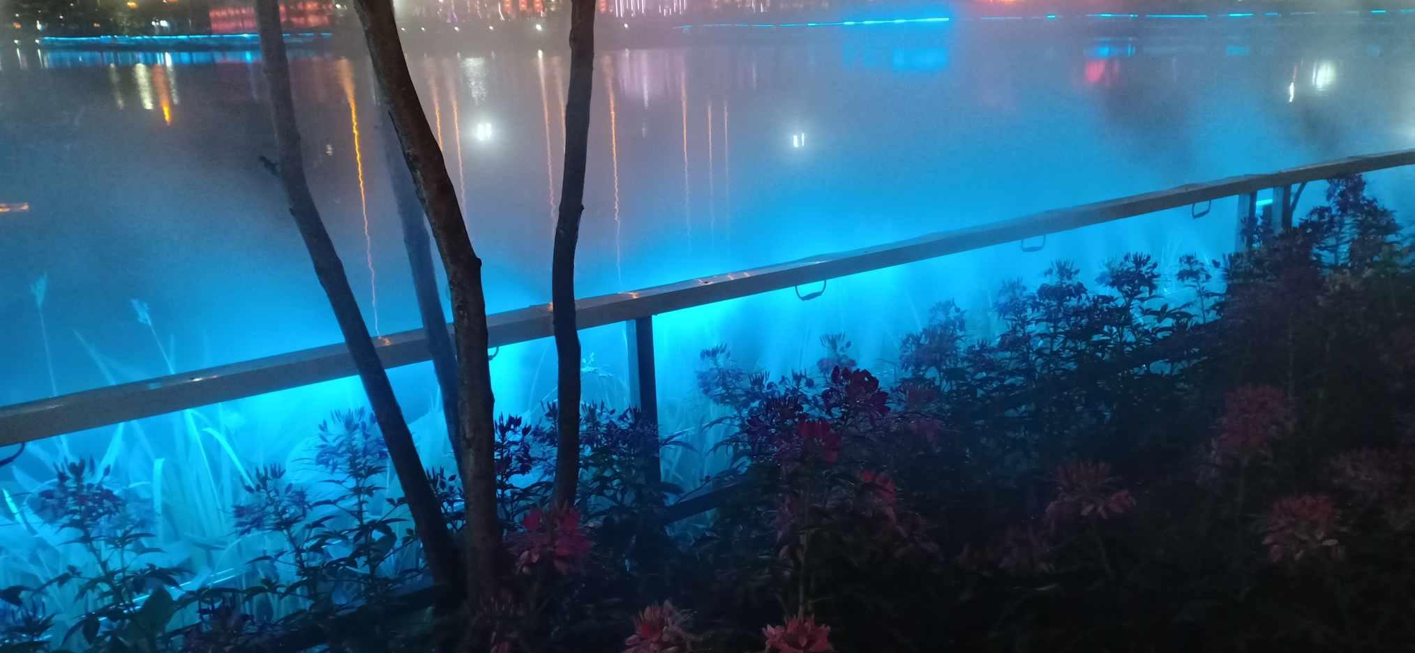 连续上4052节课是一种什么感觉?