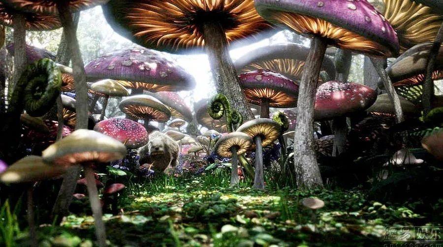 泰山队新援高准翼参加训练,克雷桑归队在即,下周阵容会更齐整